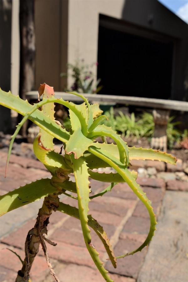 Pta East Guest House Pretoria Exterior foto